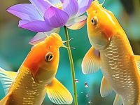 What do two koi fish symbolize?